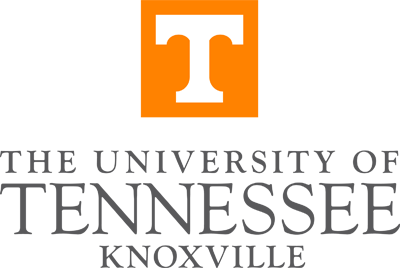 Un team dell'Università del Tennessee sviluppa un nuovo metodo per visualizzare e prevedere i difetti nella gomma